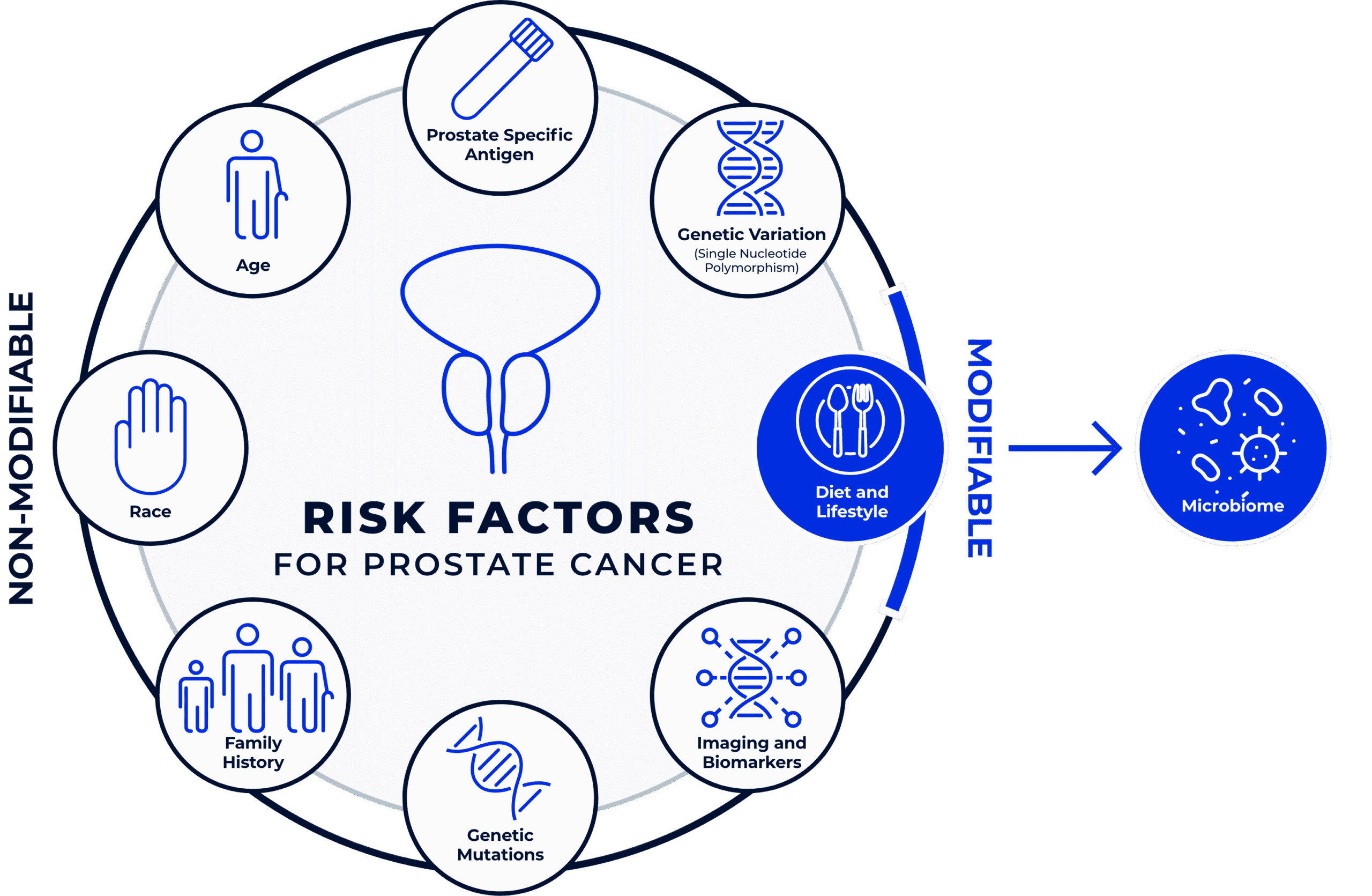 Risk Factors for Prostate Cancer