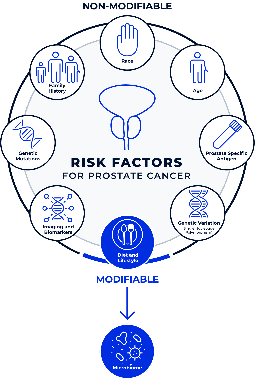 Risk Factors for Prostate Cancer